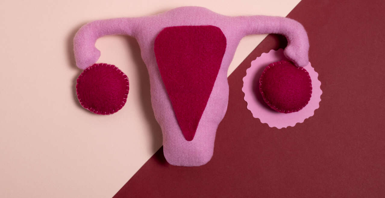 Mięśniaki macicy i guzy jajników